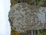 image of grave number 778079